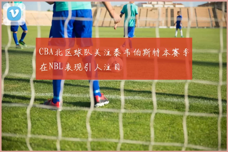 CBA北区球队关注泰韦伯斯特本赛季在NBL表现引人注目