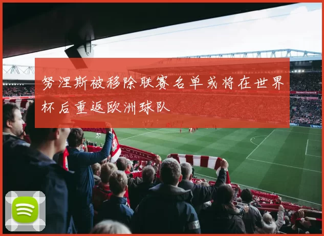 努涅斯被移除联赛名单或将在世界杯后重返欧洲球队