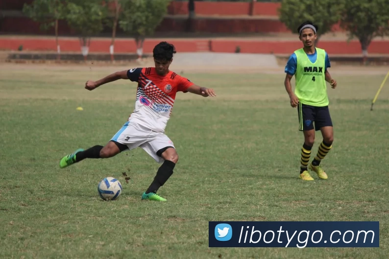 App Interface Preview