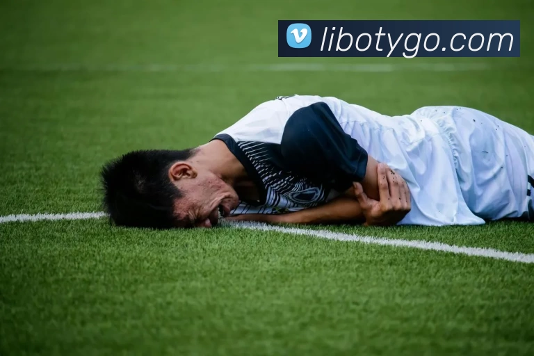 立博体育APP 封面图